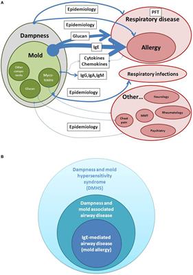 An Evolutionary-Based Framework for Analyzing Mold and Dampness-Associated Symptoms in DMHS